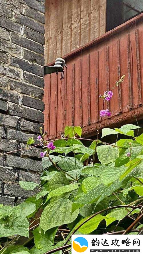 初摄五十路