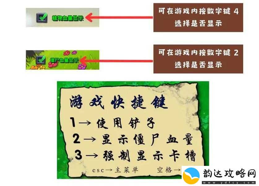 植物大战僵尸花园战争柄按键操作全解析