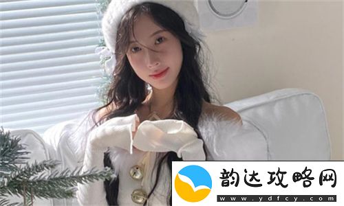 提升视频制作效率的利器