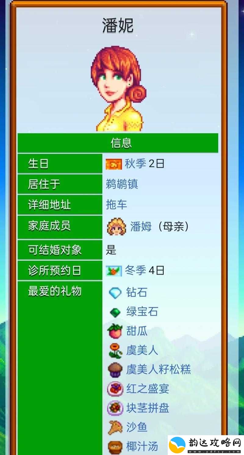 星露谷物语中成功迎娶潘妮的全方位详细攻略指南