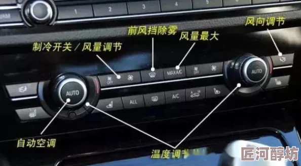 我是萌主新手必看