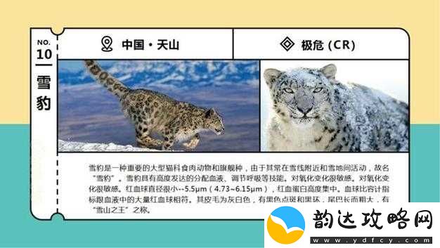 珍稀动物黄片