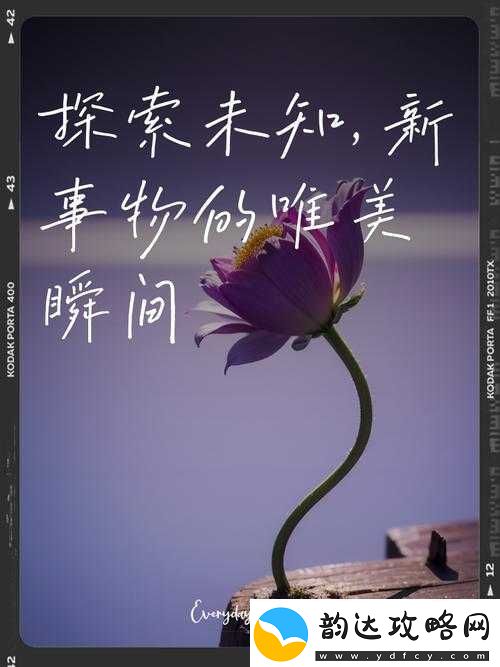 女体拷问研究所