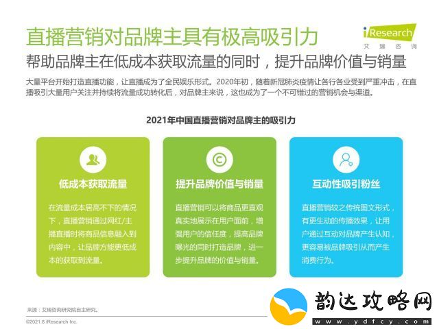 探索蘑菇视频网站