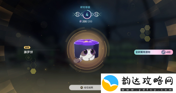 崩坏星穹铁道1.6异宠拾遗团聚任务怎么做