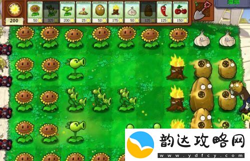 植物大战僵尸经典版植物僵尸怎么过