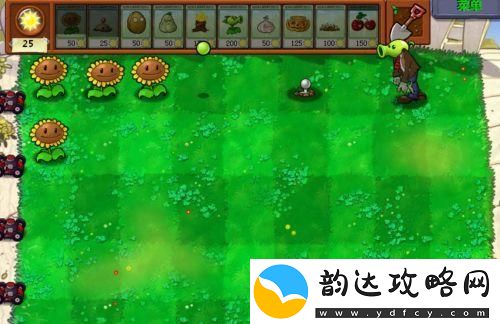 植物大战僵尸经典版植物僵尸怎么过