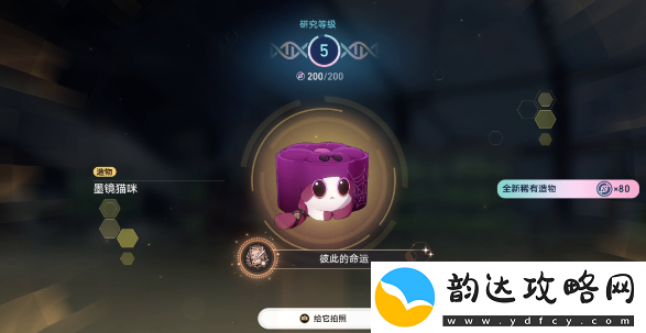 崩坏星穹铁道1.6异宠拾遗团聚任务怎么做