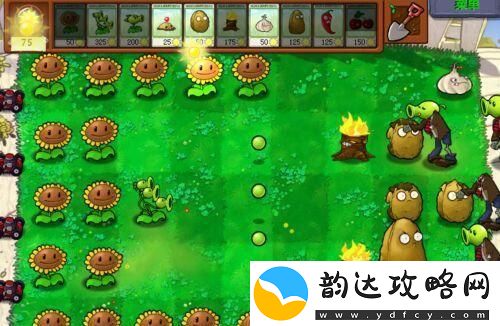植物大战僵尸经典版植物僵尸怎么过