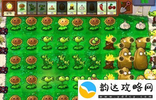 植物大战僵尸经典版植物僵尸怎么过