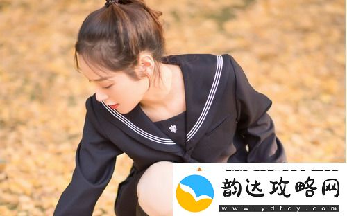 美国人与动物胶配方大全材料丰富专家