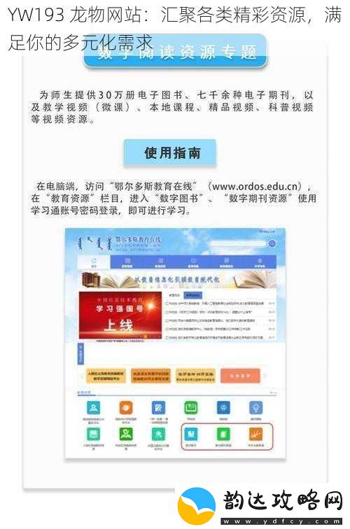 YW193龙物网站