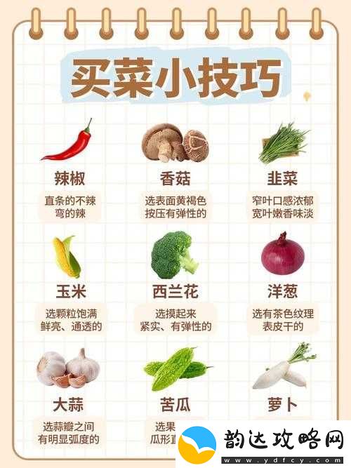 软妹天国新手攻略