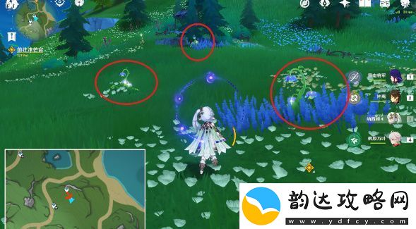 原神图形对抗实验第二天详细攻略与技巧分享