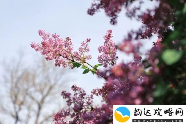 盛夏倾诉