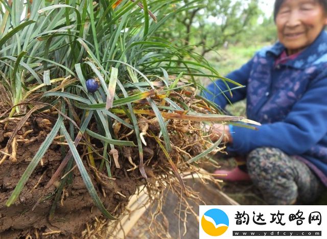 体验清新观看体验
