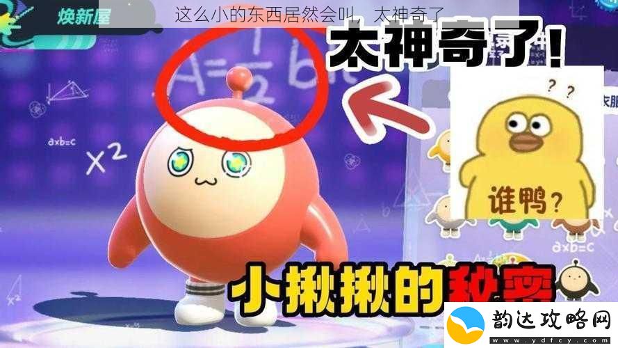 这么小的东西居然会叫