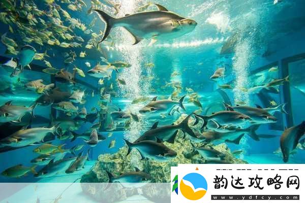 探索神奇海洋水族馆