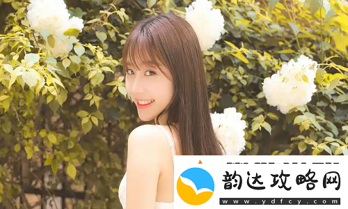 好看的韩国三色电费