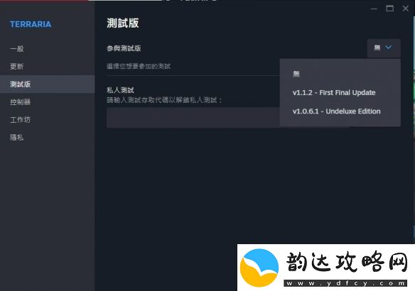泰拉瑞亚迎来13周年开发团队放出最终更新版本
