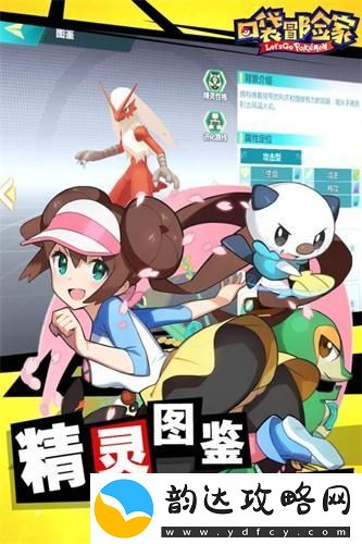 精灵冒险家宠物排行